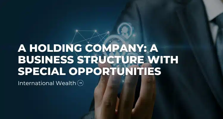 Holding company visual data 6